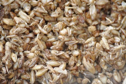 Quick Spent-Grain Veggie Burgers